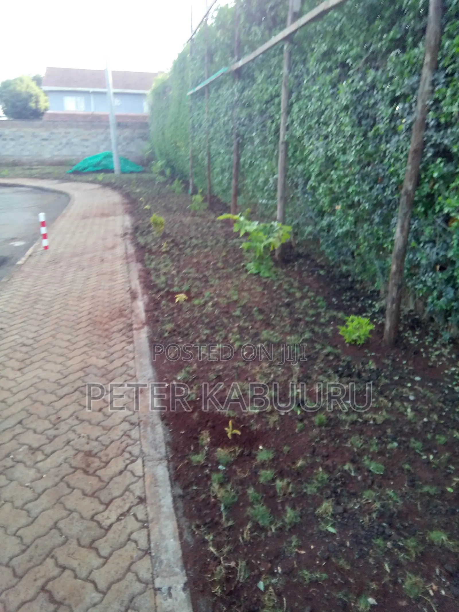 Residential Landscaping