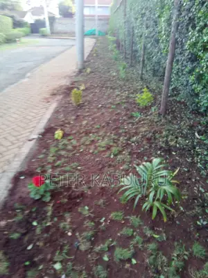 Residential Landscaping