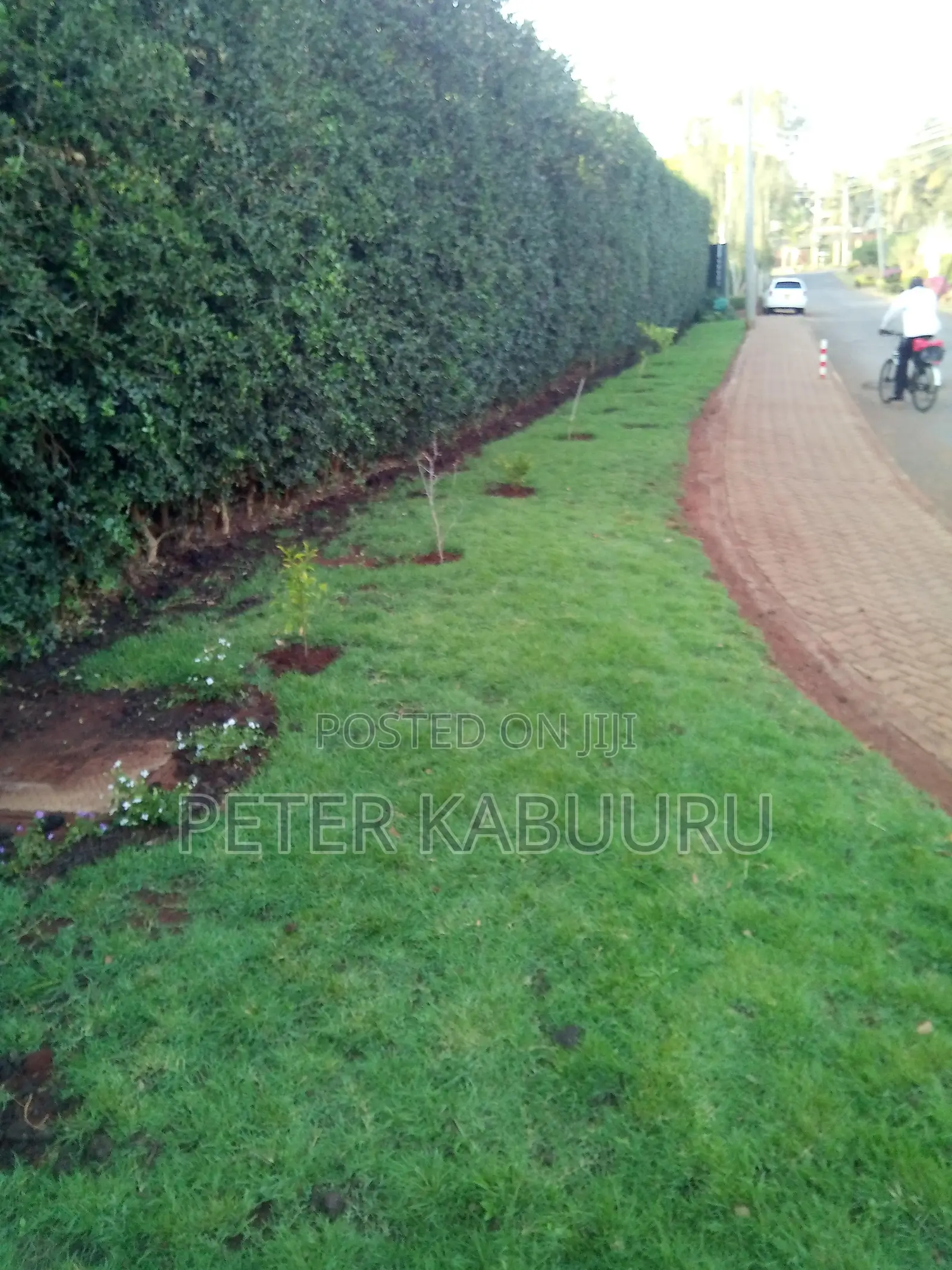 Residential Landscaping