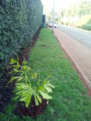 Residential Landscaping