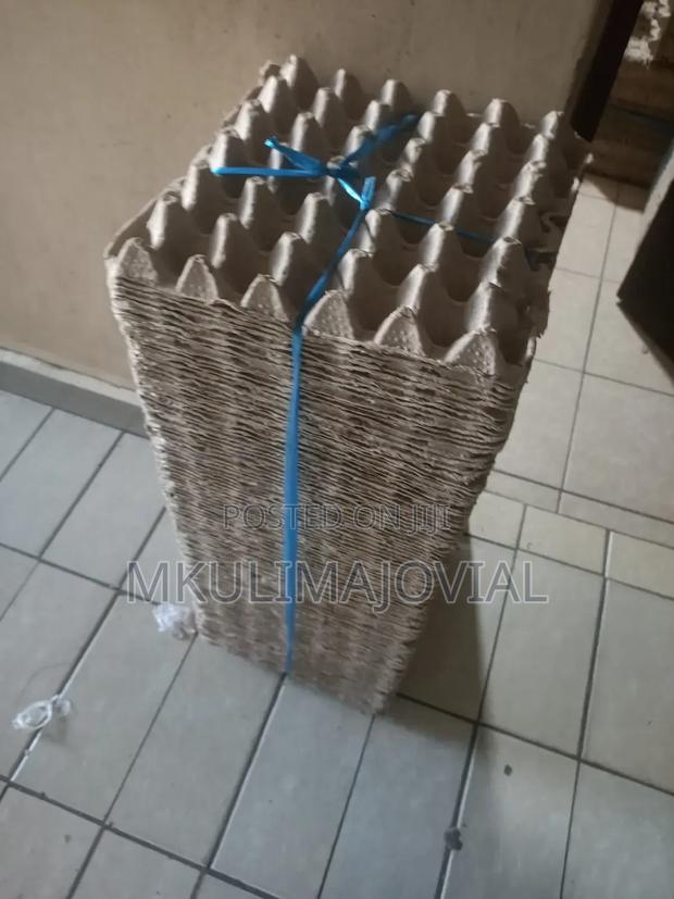 Paper Egg Trays