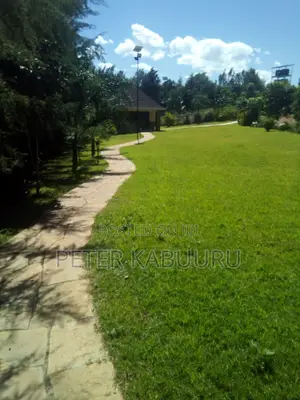Landscaping and Gardening