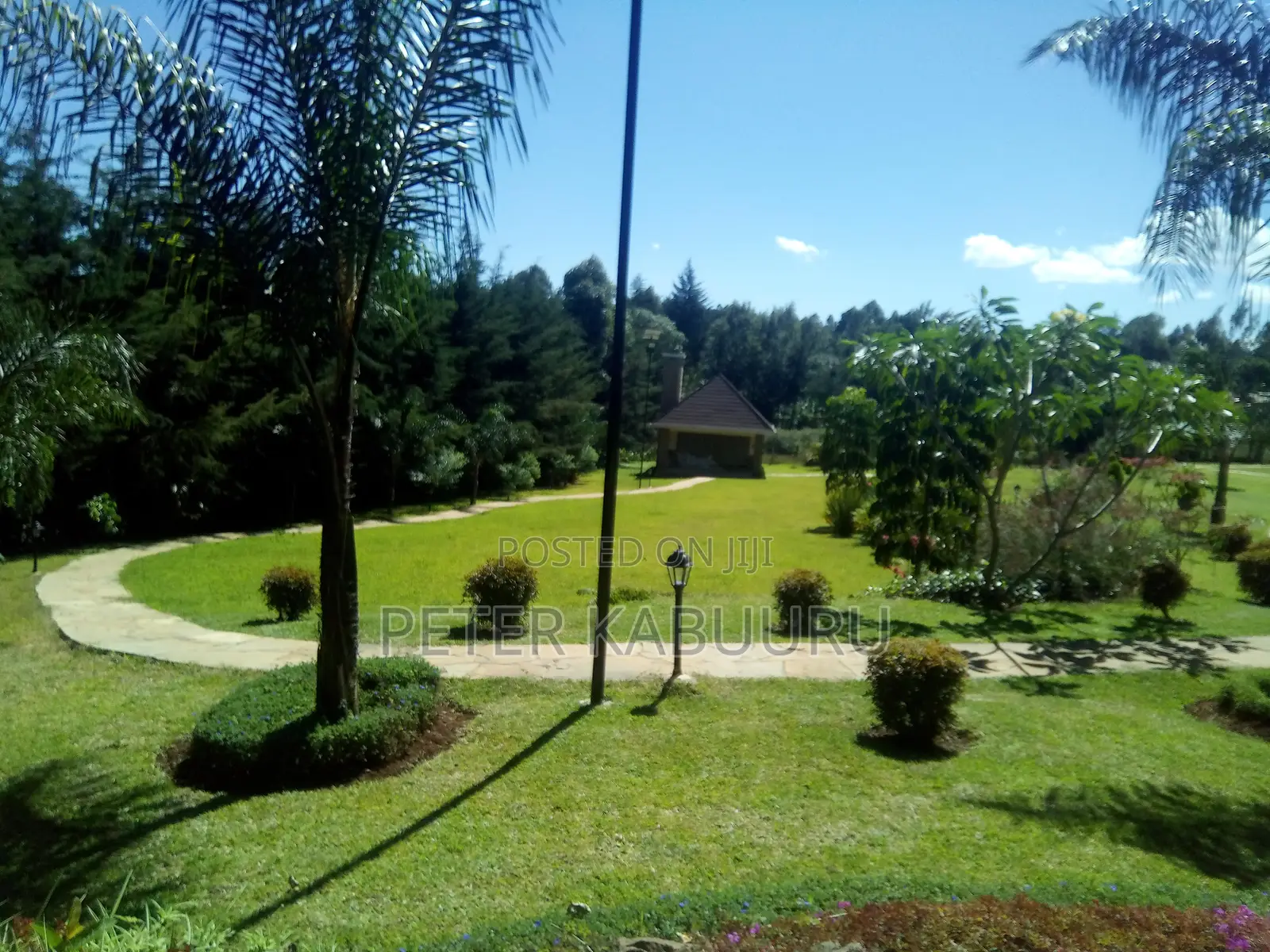 Landscaping and Gardening