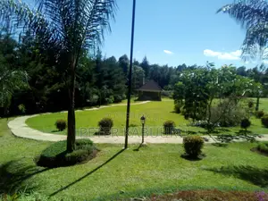 Landscaping and Gardening