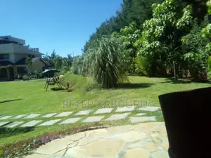 Landscaping and Gardening