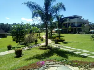 Landscaping and Gardening