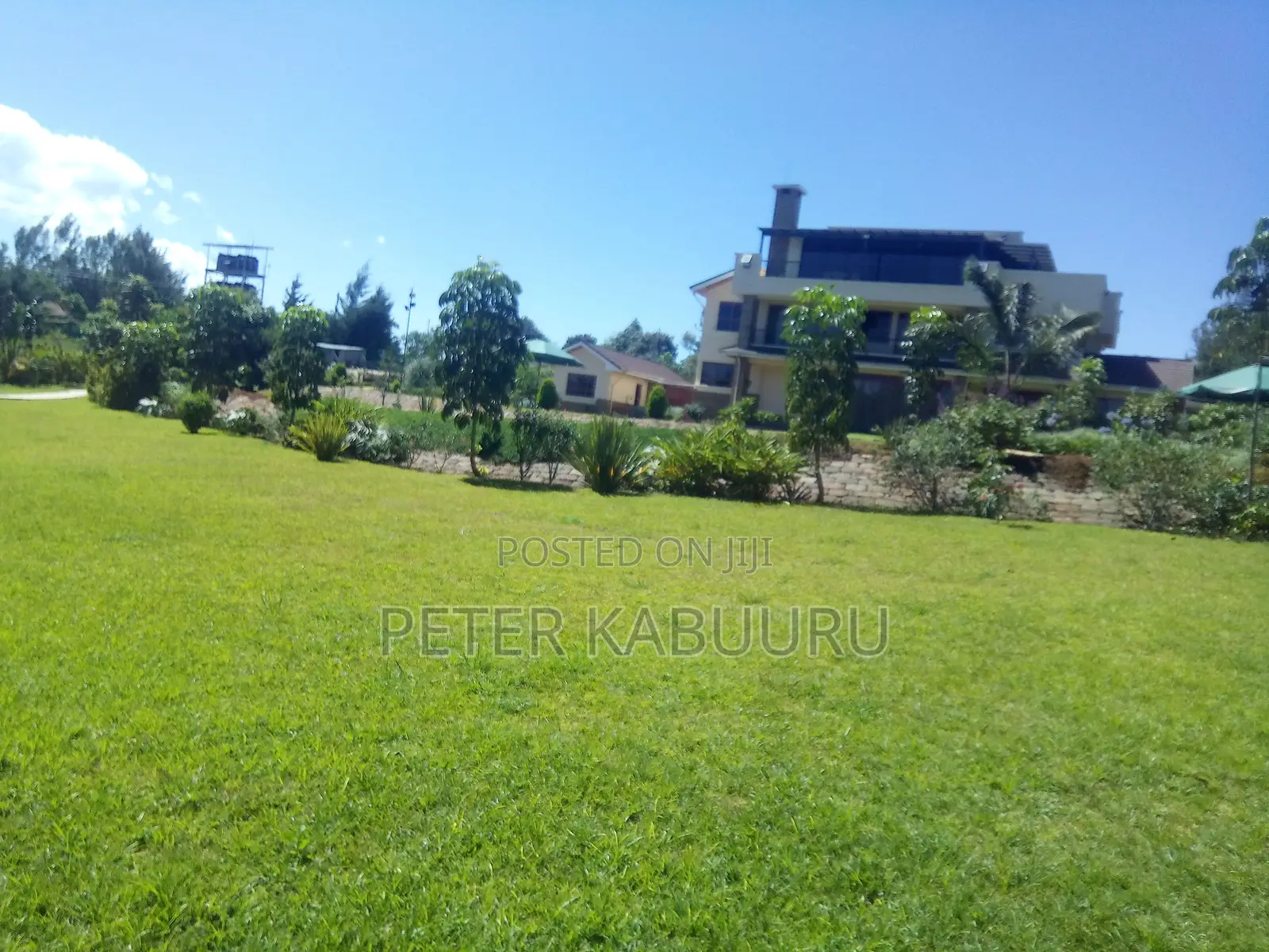Landscaping and Gardening