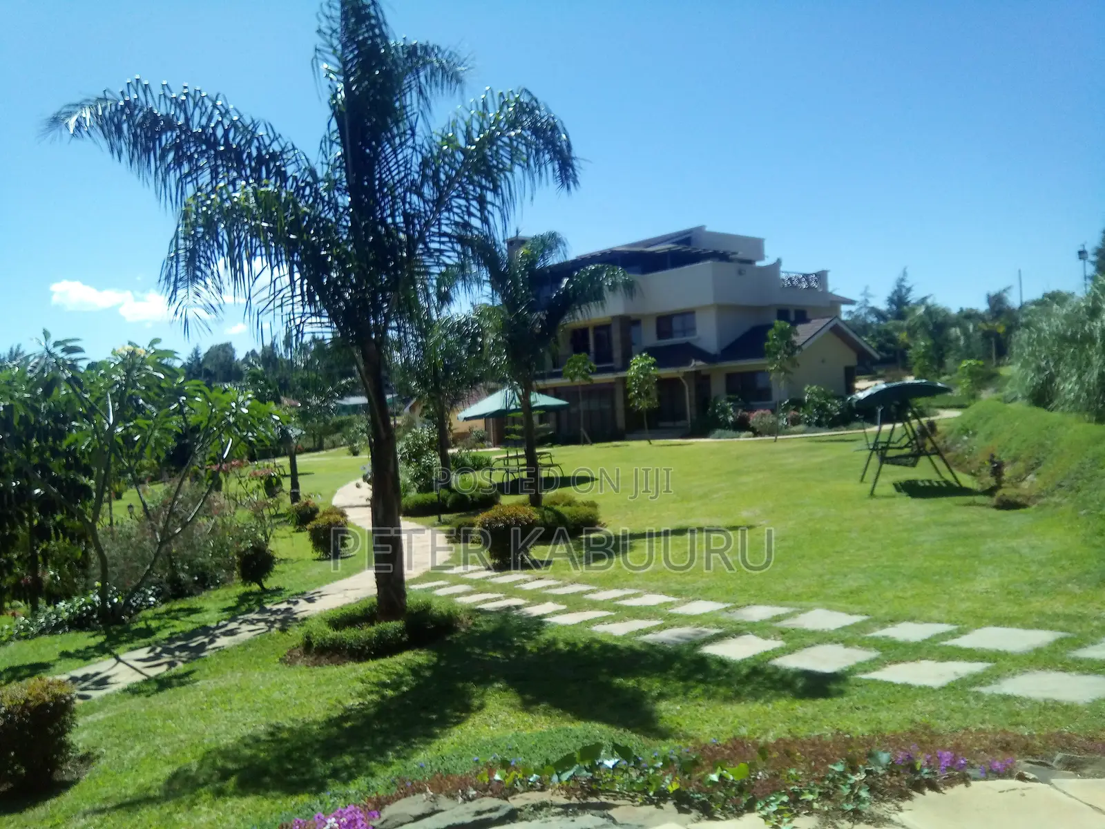 Landscaping and Gardening