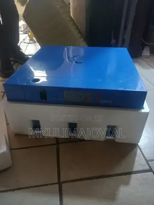 Imported Automatic 64 Eggs Incubator