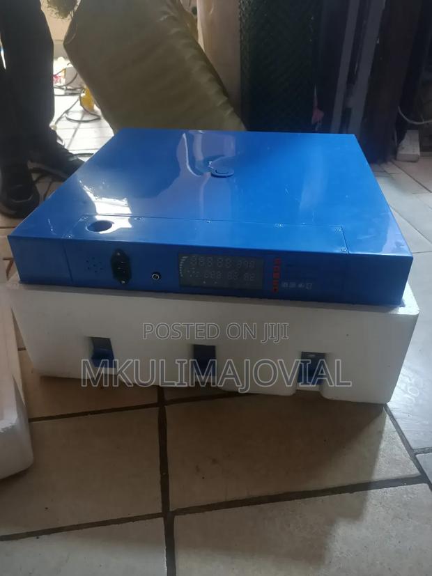 Imported Automatic 64 Eggs Incubator