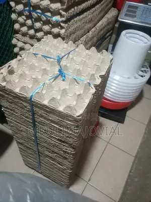 Paper Egg Trays Bale