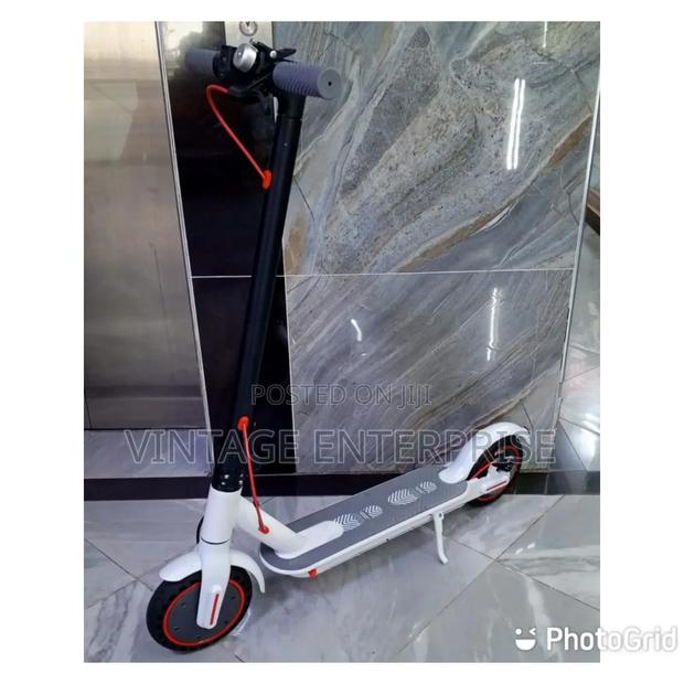Adult Electric Scooter*