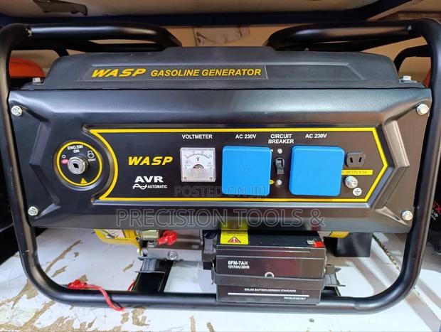 5kva Wasp Gasoline Generator With AVR