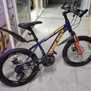 Geared Bike- Size 20