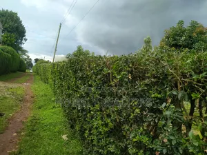 Quarter Acre Plot in Ngong, Bondeni, Touching the Main Rd