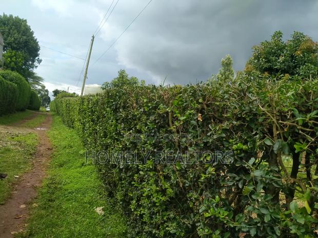 Quarter Acre Plot in Ngong, Bondeni, Touching the Main Rd - thumbnail 3