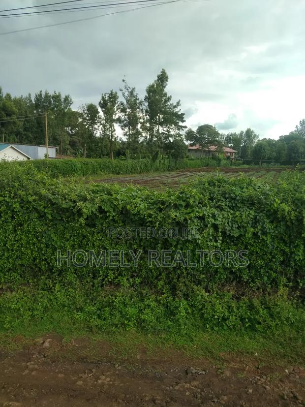 Quarter Acre Plot in Ngong, Bondeni, Touching the Main Rd - thumbnail 5