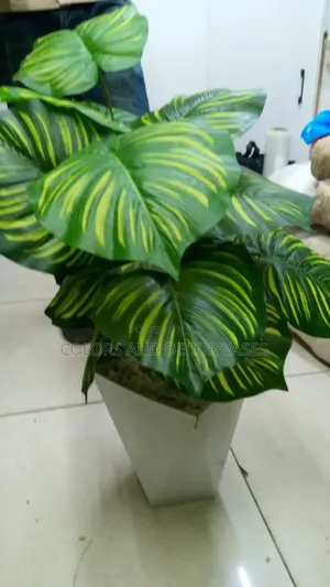 Home Decor Plants With Vase and Pebble Stones