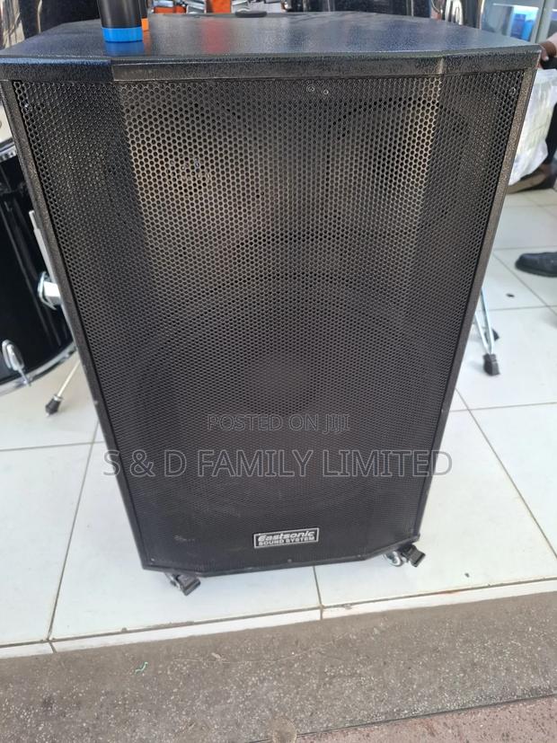 Eastsonic 15 Inch Powered Speaker