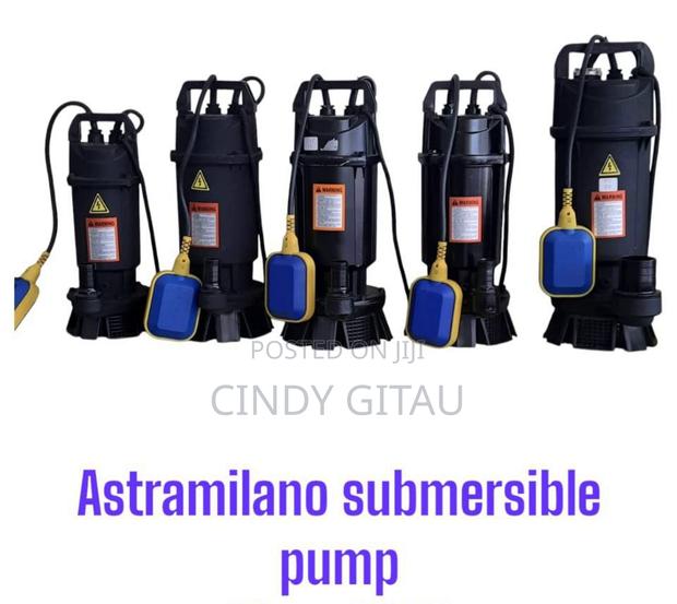 Astramilano Submersible Water Pump 17M Head