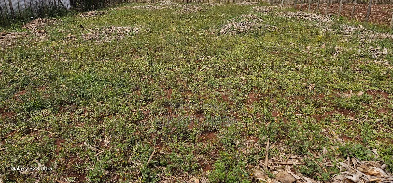 Prime Plot for Sale in Marura Chemaluk Eldoret
