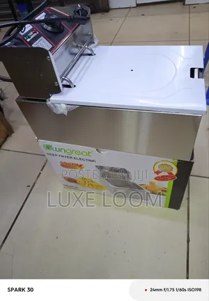 Electric Deep Fryer