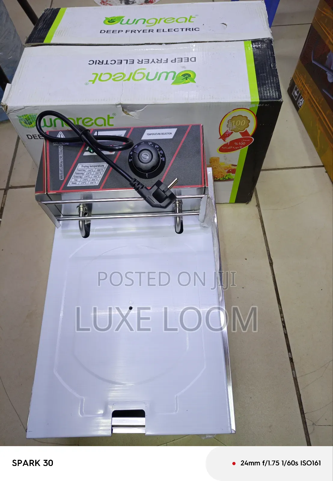 Chips Electric Deep Fryer/ Chips Fryer