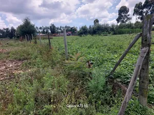 1acre for Sale at Ngata Nakuru
