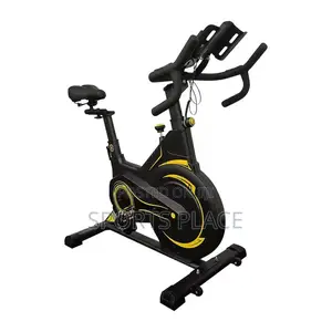 Spin Bike Portable Steel Cardio Exercise Spinning Bike