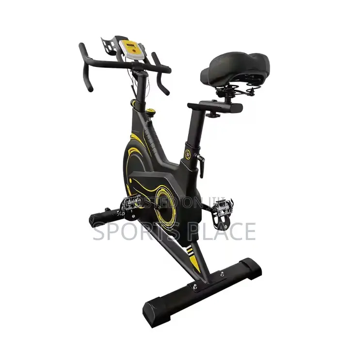 Spin Bike Portable Steel Cardio Exercise Spinning Bike
