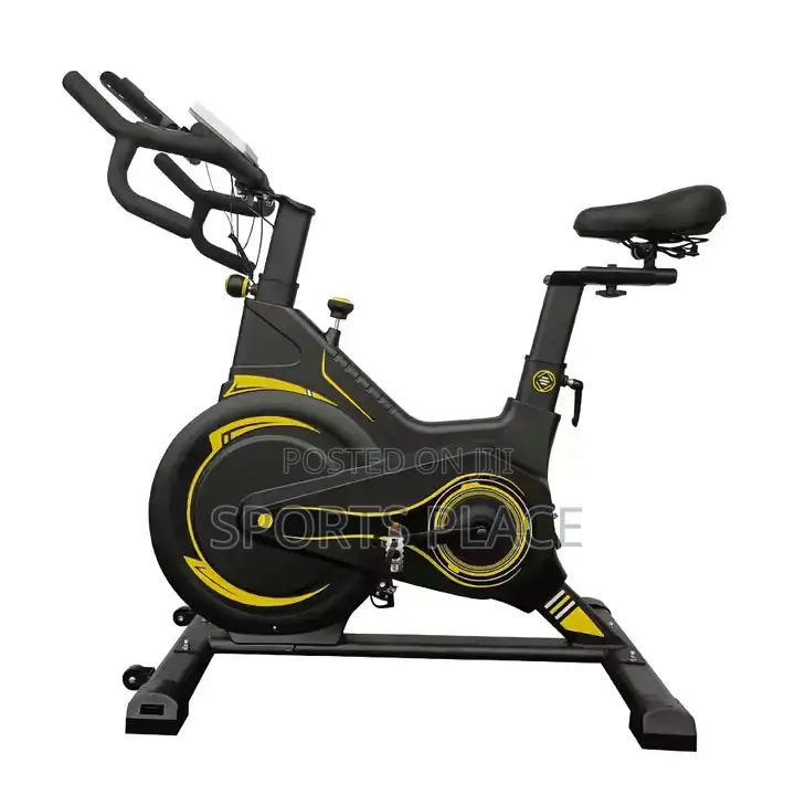 Spin Bike Portable Steel Cardio Exercise Spinning Bike