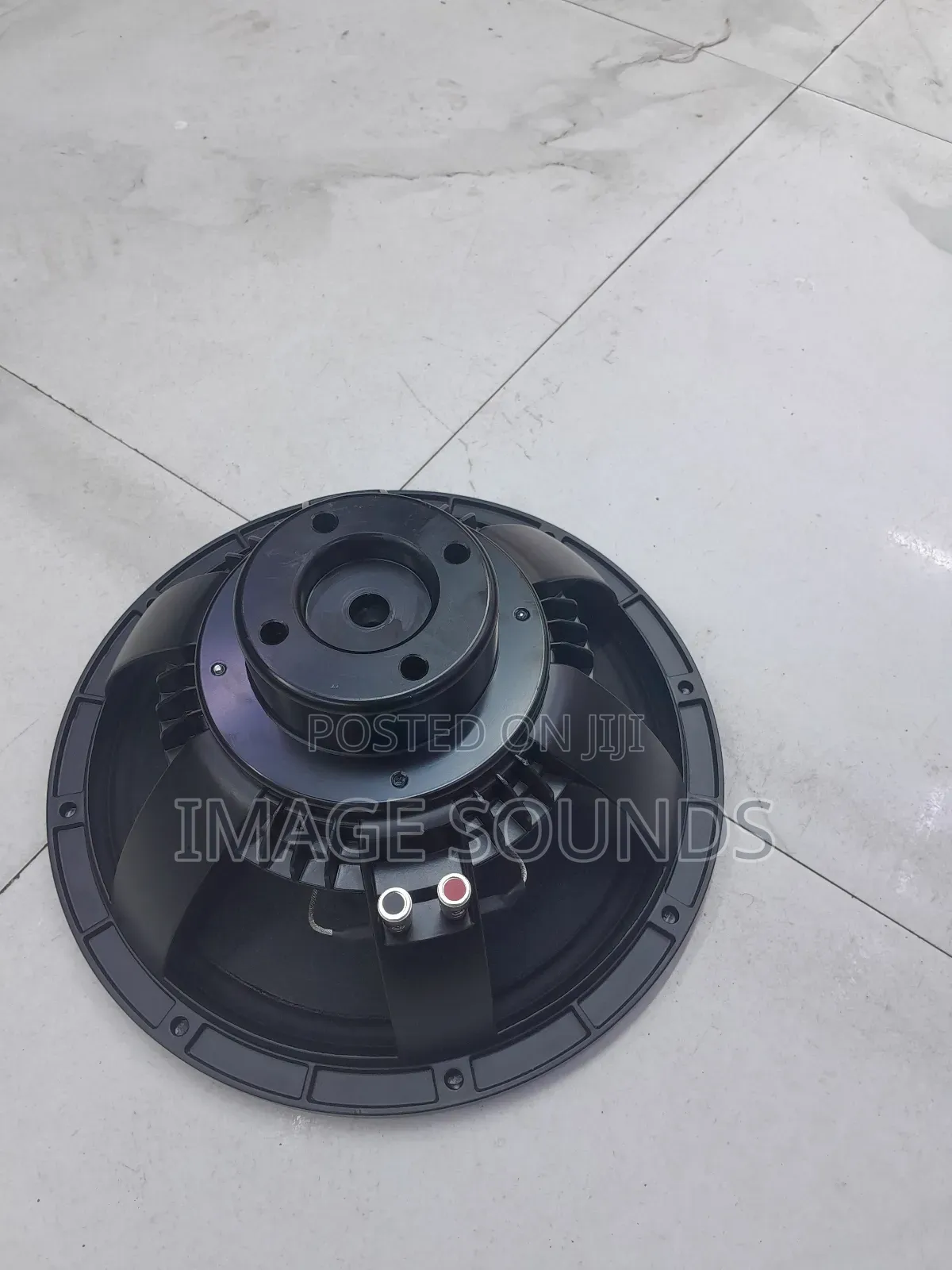 Neodymium 12"
