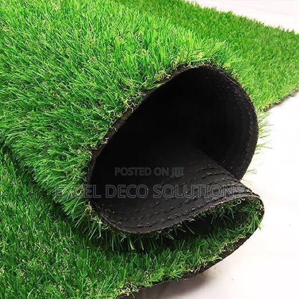 Low Maintenance Carpet Grass - main view