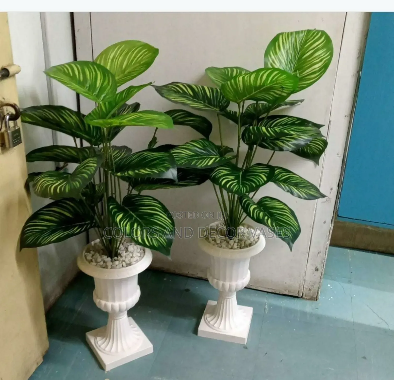 Plant, Long Vase and Decorative Stones