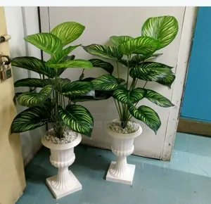 Plant, Long Vase and Decorative Stones