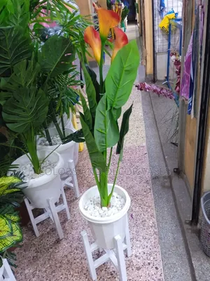 Flowered Plant, Vase and Decorative Stones and Stand