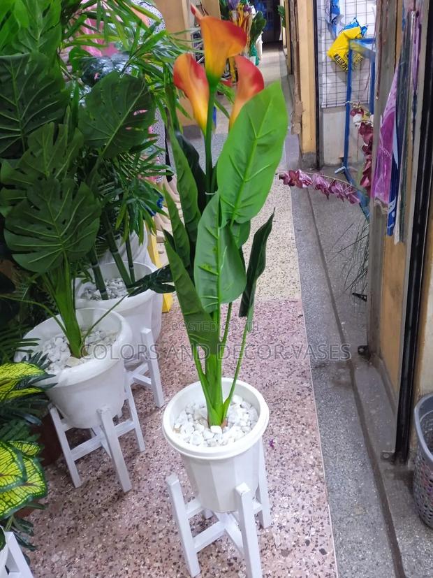 Flowered Plant, Vase and Decorative Stones and Stand