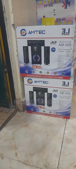 Amtec 309 Multimedia Speaker