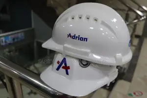 Vaultex Helmets -branded On Order