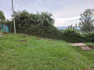 Kapengura Cheptuya 0.08