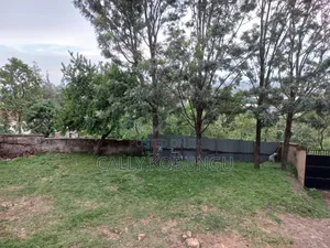 Kapengura Cheptuya 0.08
