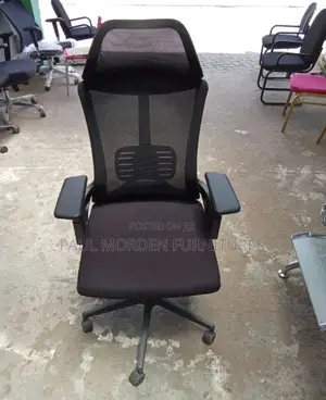 Ergonomic Executive Office Chair
