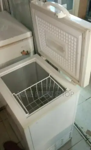 Roch 130l Freezer