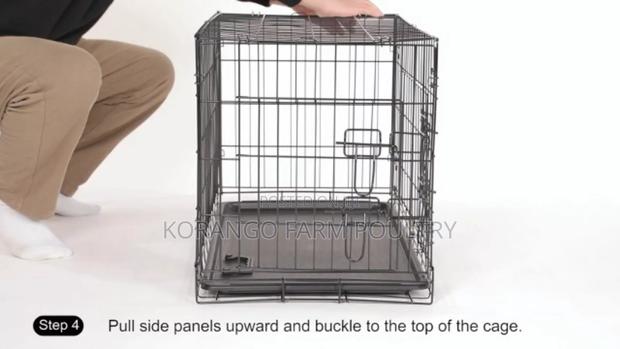 Stainless Dog Cages - main view