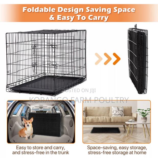 Stainless Dog Cages - thumbnail 3