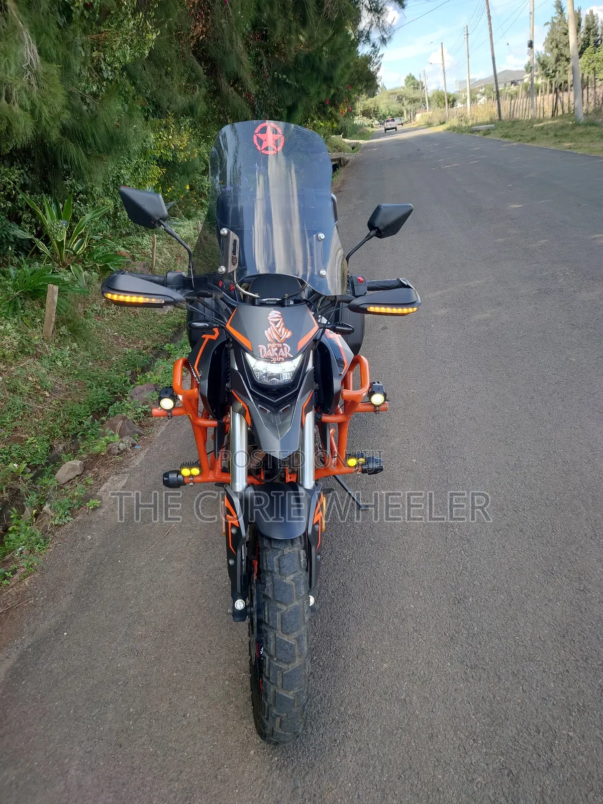 Tekken Simba 250 2022 Orange