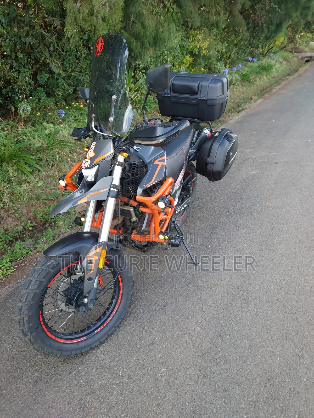 Tekken Simba 250 2022 Orange