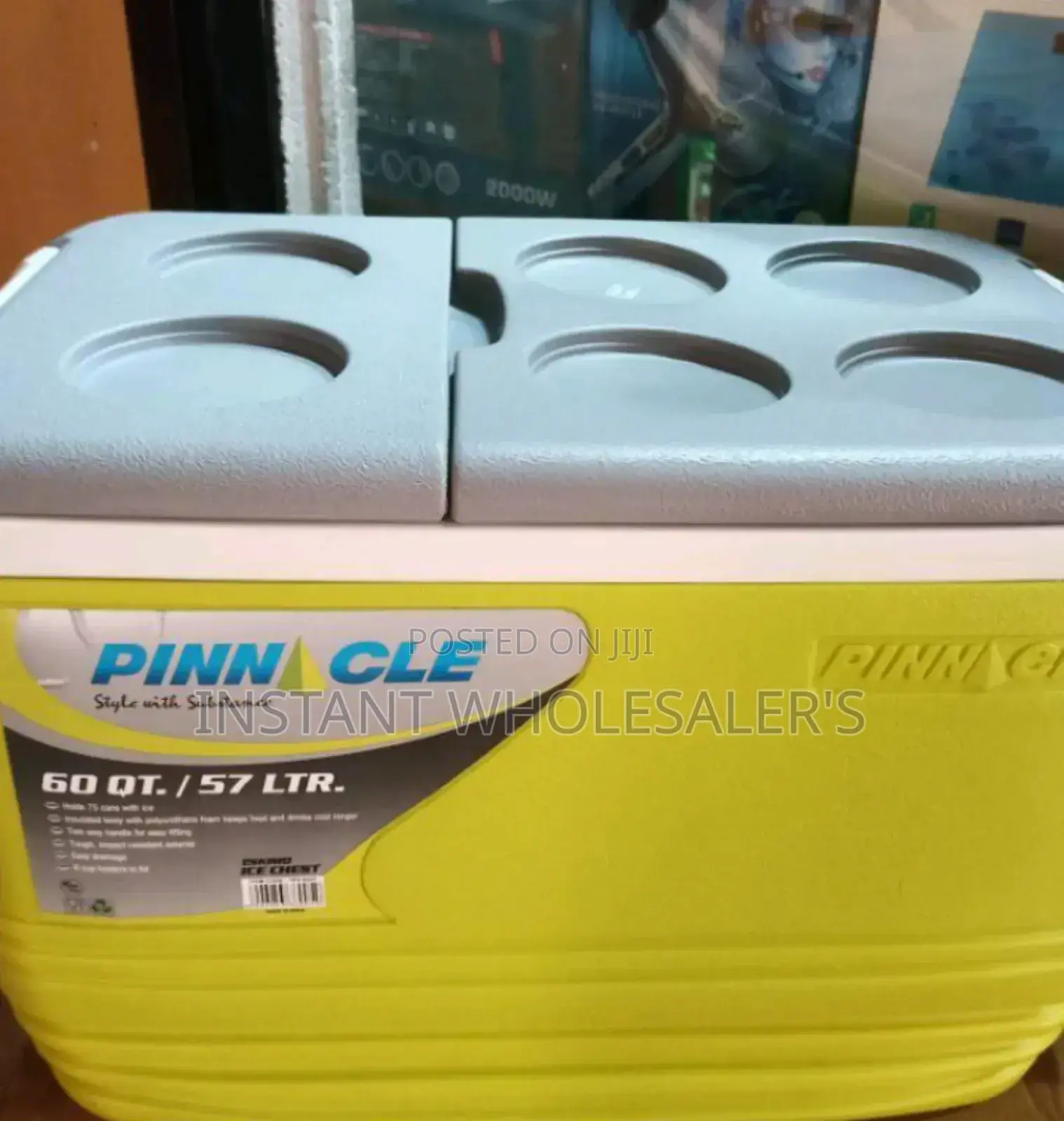 57 Litres Capacity Cooler Box