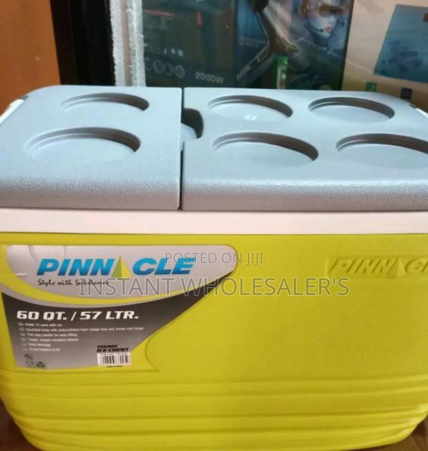 57 Litres Capacity Cooler Box - main view