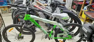 Phoenix Adult Bike Size 26